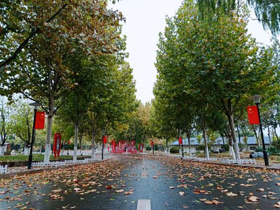 “醉美”重山秋(二)2