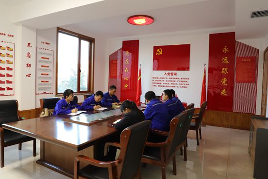 紅紅臉 出出汗 思想體檢促整改——集團(tuán)各黨支部召開(kāi)專(zhuān)題組織生活會(huì)0