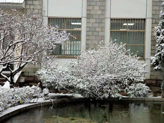 大修進(jìn)行時(shí)，這里有一群可愛的重山人......41