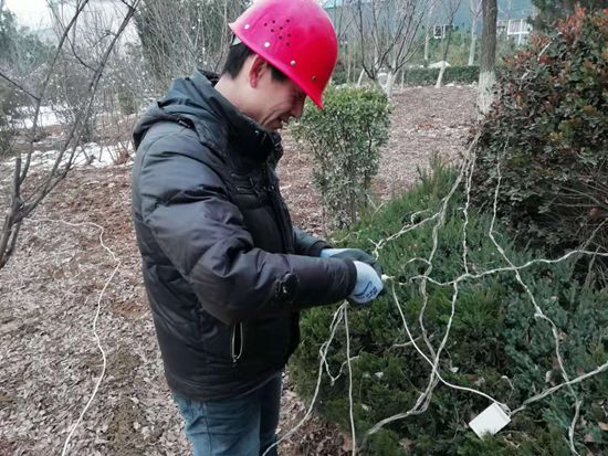 大紅燈籠高高掛 喜氣洋洋過春節(jié)68