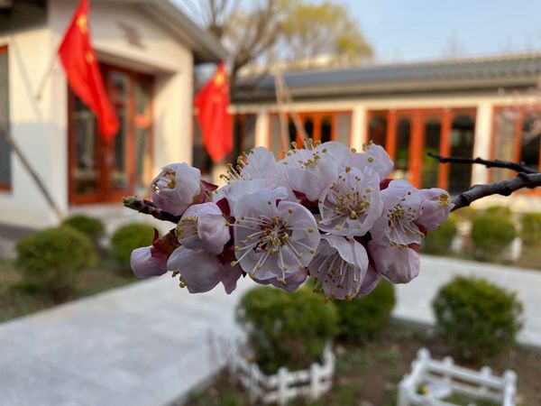 重山春已到 奮斗正當(dāng)時(shí)21