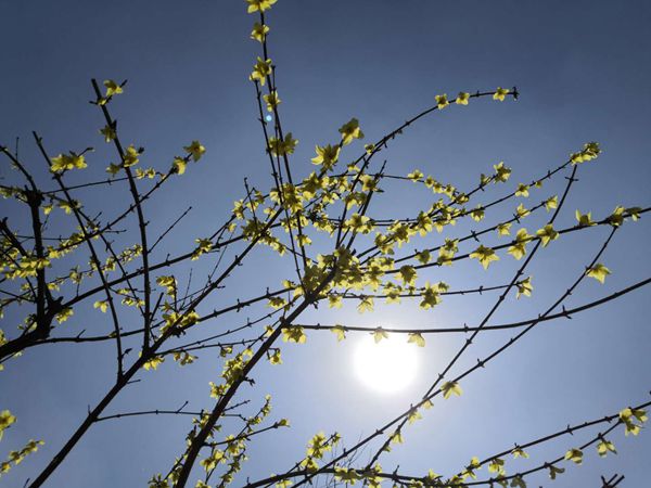 重山春已到 奮斗正當(dāng)時(shí)21