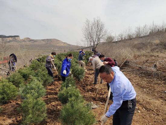 植樹綠化進行時70