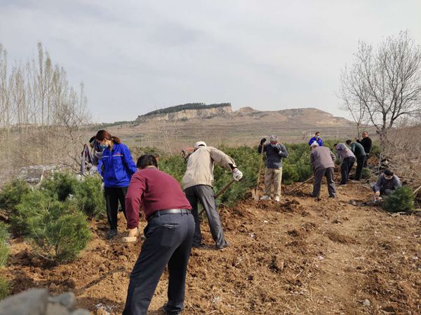 植樹綠化進行時70