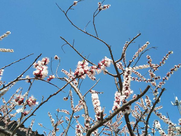 【重山影像】重山春已到 奮斗正當(dāng)時(shí)（二）20