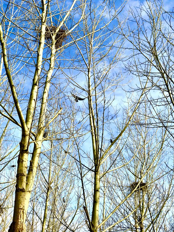 【重山影像】重山春已到 奮斗正當(dāng)時(shí)（二）20