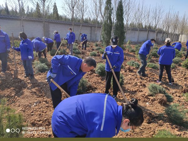植樹(shù)造林 魯中水泥再行動(dòng)35