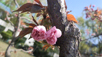 【重山影像】重山春已到 奮斗正當(dāng)時(shí)（四）28