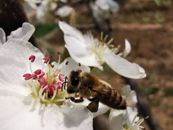【重山影像】重山春已到 奮斗正當(dāng)時(shí)（四）28