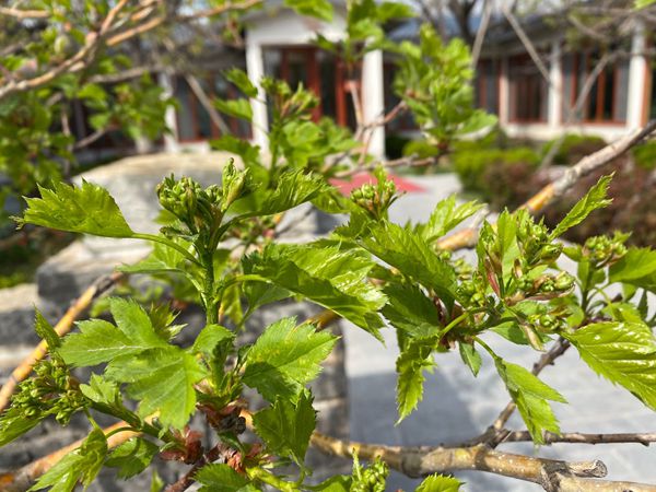 【重山影像】重山春已到 奮斗正當(dāng)時(shí)（四）28