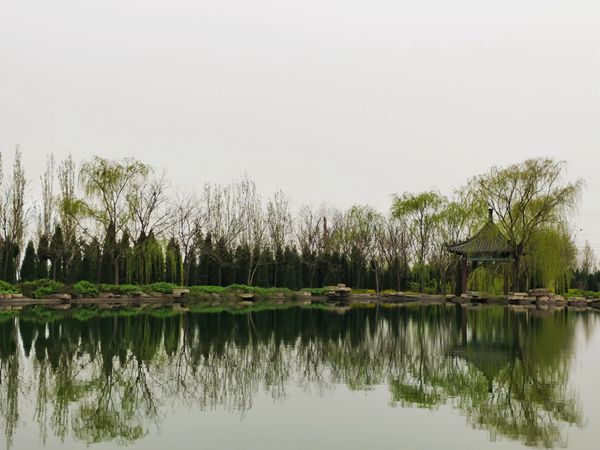 【重山影像】重山春已到 奮斗正當(dāng)時(shí)（四）28