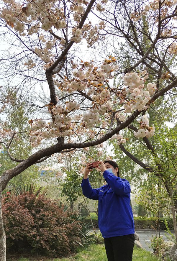 【重山影像】重山春已到 奮斗正當(dāng)時(shí)（四）28