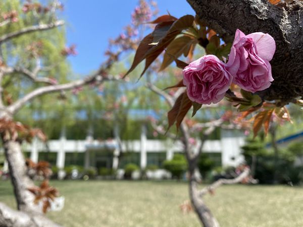 【重山影像】重山春已到 奮斗正當(dāng)時(shí)（四）28