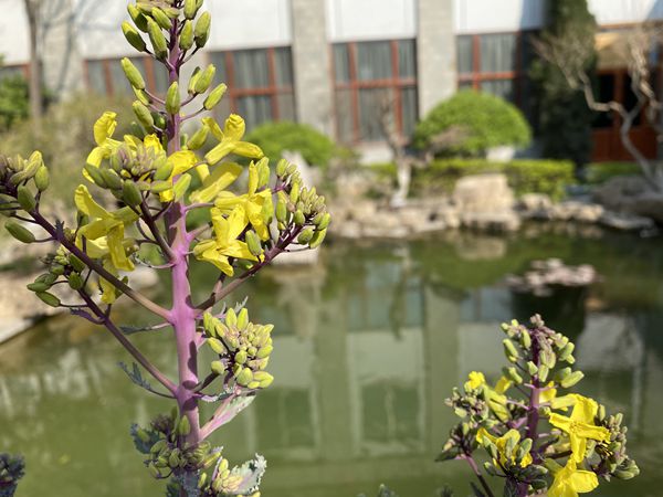 【重山影像】重山春已到 奮斗正當(dāng)時(shí)（四）28