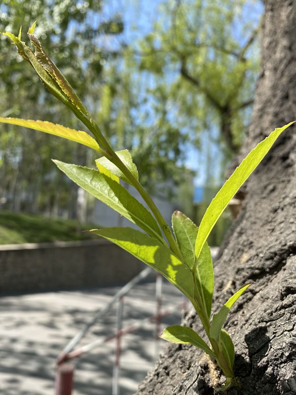 【重山影像】重山春已到 奮斗正當(dāng)時(shí)（四）28