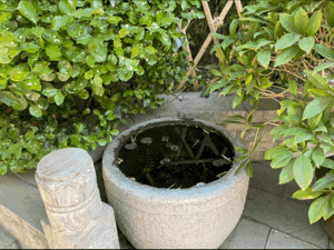 【重山影像】重山春已到 奮斗正當(dāng)時(shí)（六）25