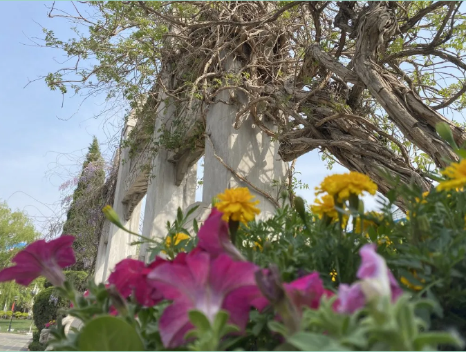 【重山影像】重山春已到 奮斗正當(dāng)時(shí)（六）25