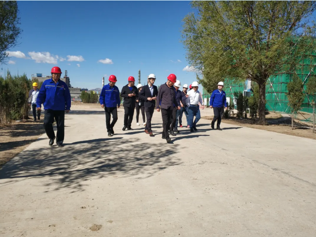 集團公司對鵬峰化工、黃驊三陽進行管理審核52