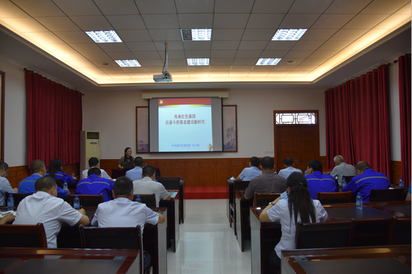 傳承紅色基因 永葆奮斗姿態(tài)——集團(tuán)機(jī)關(guān)黨支部組織專題黨課學(xué)習(xí)57