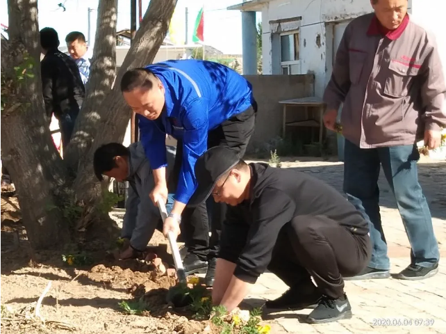 鵬峰化工開(kāi)展綠化活動(dòng)85