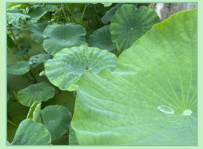 【重山影像】一起來(lái)看雨中的重山64