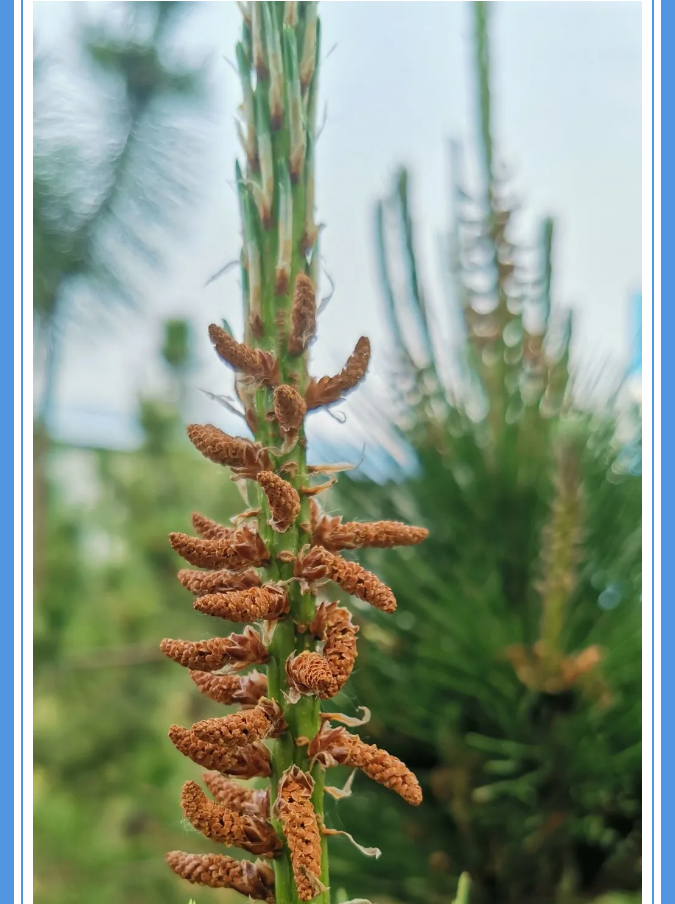 【重山影像】愿你以夢(mèng)為馬 不負(fù)韶華94