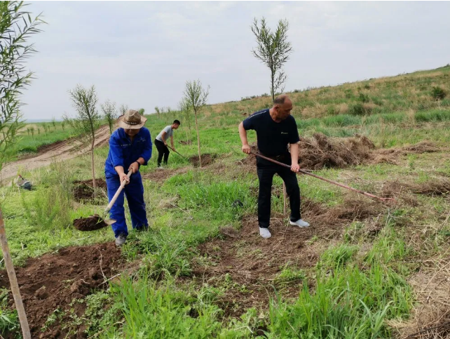 螢澤礦業(yè)開(kāi)展綠化活動(dòng)61