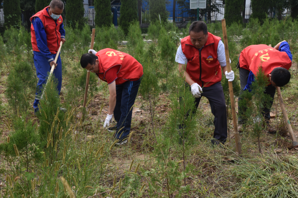 黨員動(dòng)起來 環(huán)境靚起來——集團(tuán)機(jī)關(guān)黨支部組織志愿服務(wù)活動(dòng)22