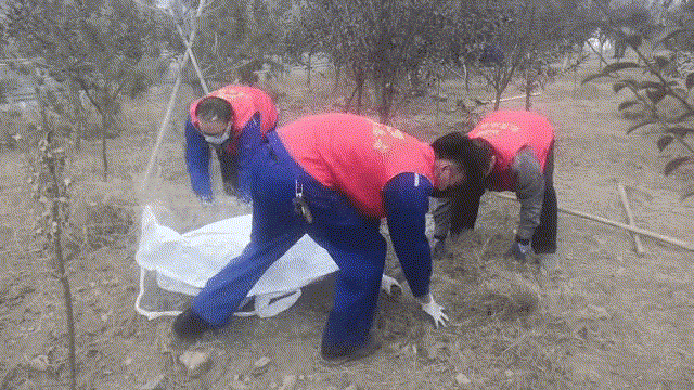 擇善明德 志愿紅“美顏”綠化區(qū) —集團黨委組織黨員志愿服務活動68