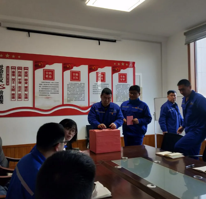 集團黨委光電支部、在外人才支部完成委員選舉工作37