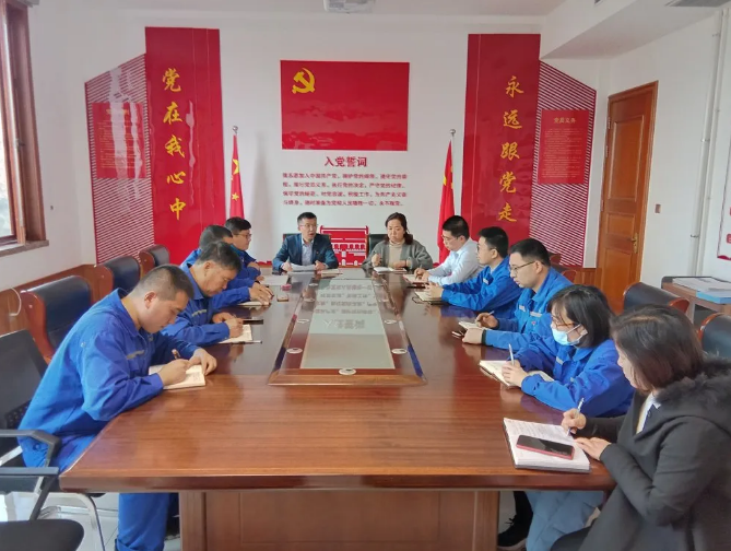 集團黨委光電支部、在外人才支部完成委員選舉工作37