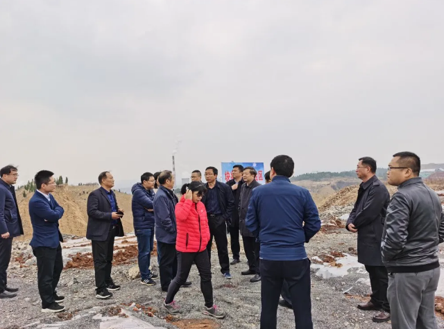 山東省自然資源廳到集團(tuán)調(diào)研99