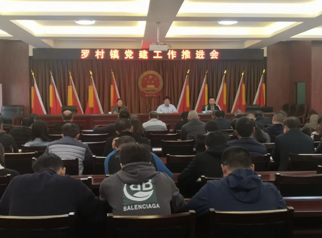 參加羅村鎮(zhèn)黨建工作推進(jìn)會9