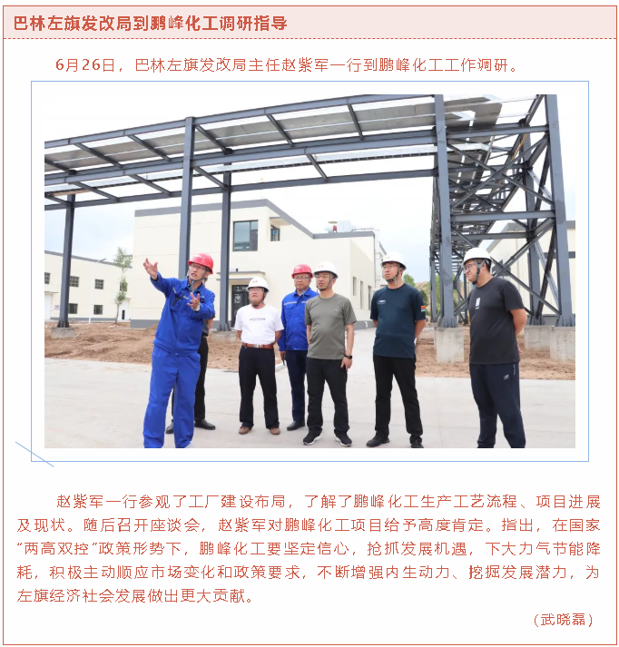 巴林左旗發(fā)改局到鵬峰化工調(diào)研指導(dǎo)22