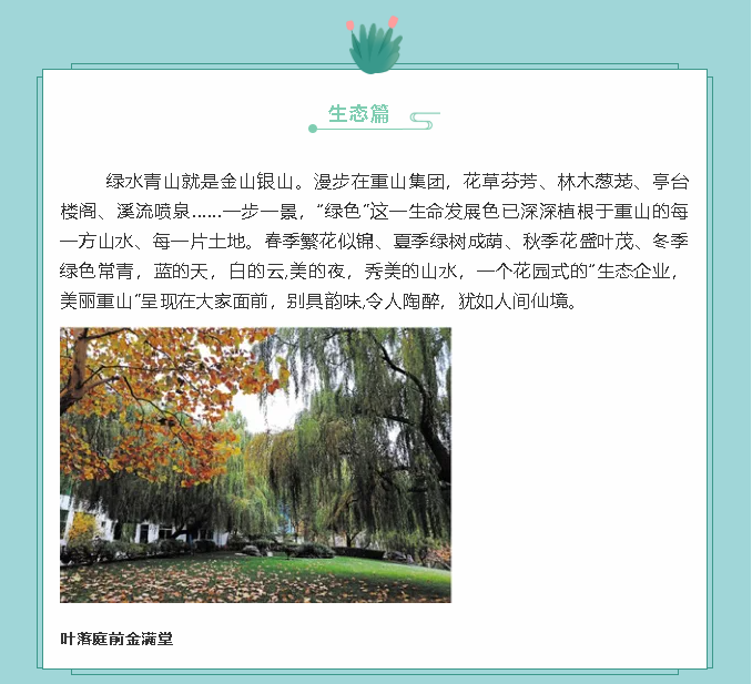 【鏡頭里的重山】邀您共賞重山之美！89