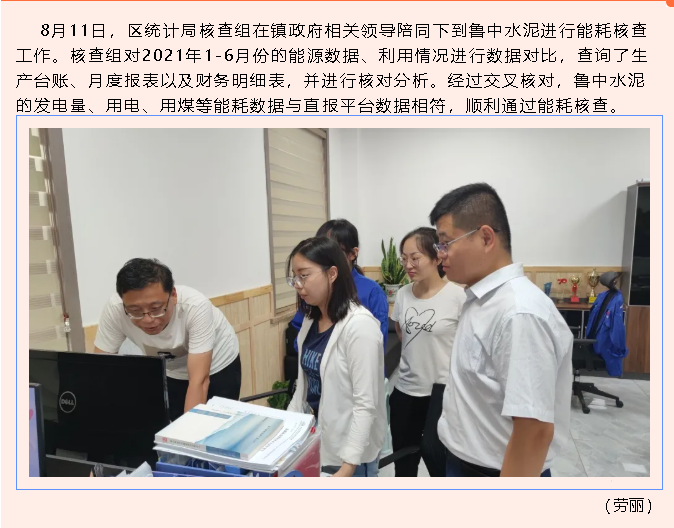 區(qū)統(tǒng)計(jì)局到魯中水泥進(jìn)行能源核查19