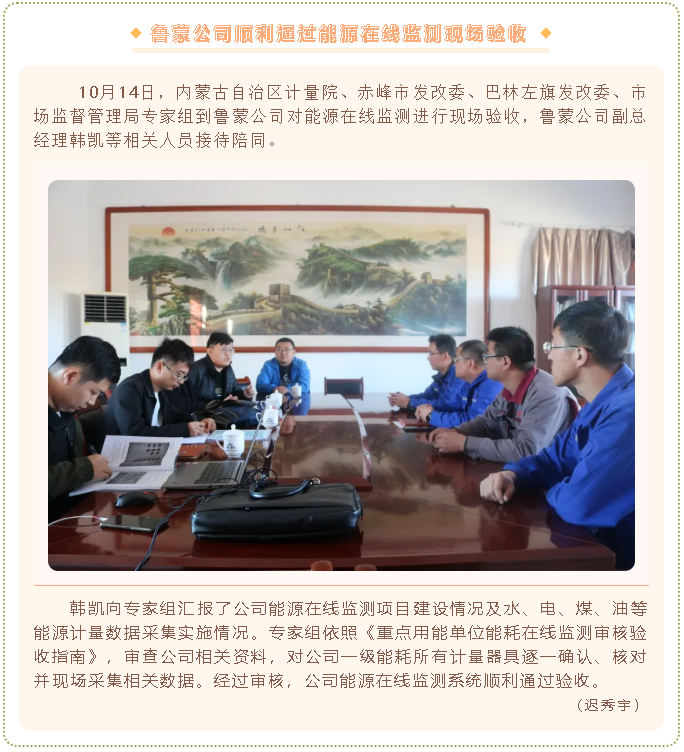 魯蒙公司順利通過能源在線監(jiān)測現(xiàn)場驗收68