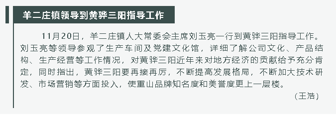 羊二莊鎮(zhèn)領(lǐng)導(dǎo)到黃驊三陽指導(dǎo)工作74